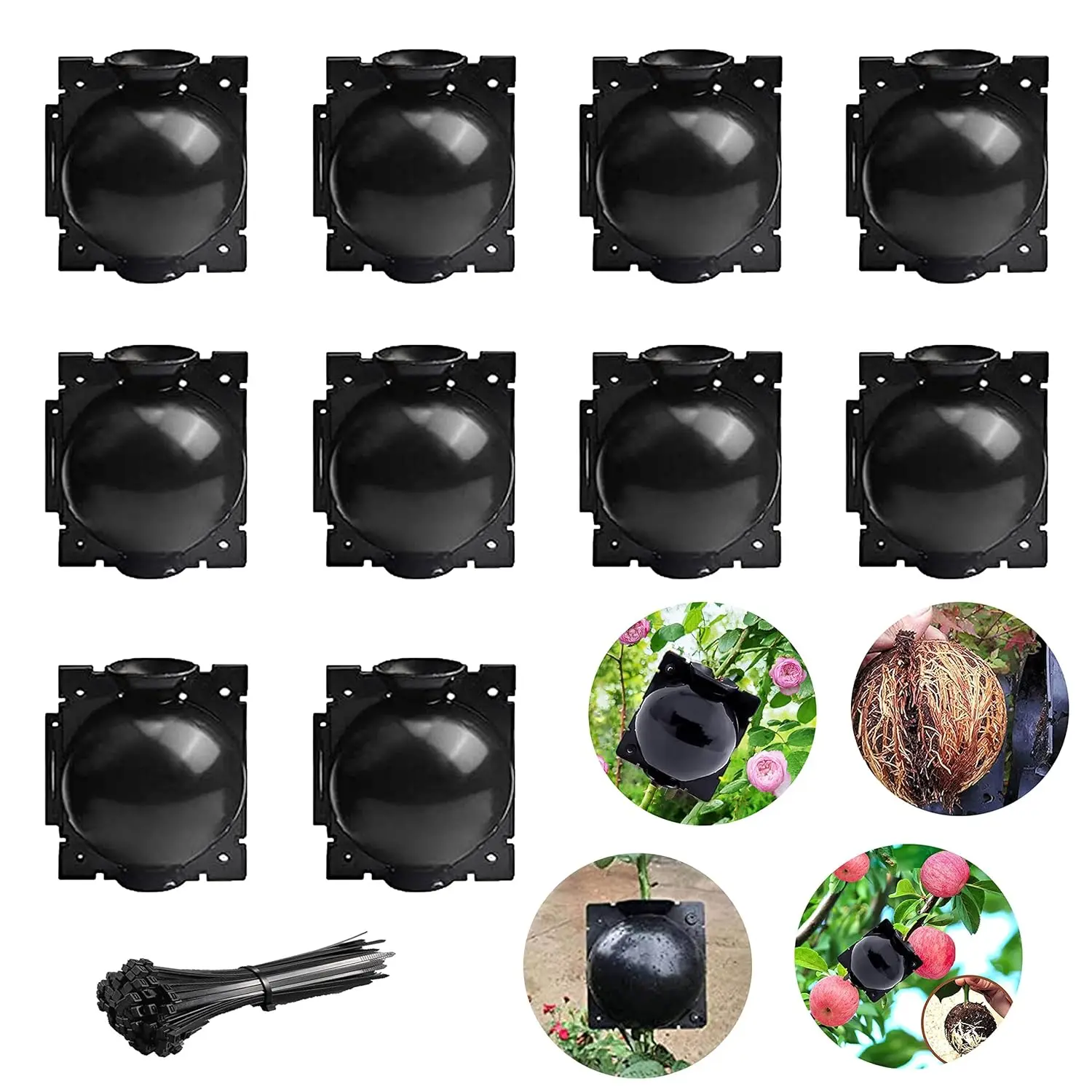 10Pcs Plant Rooting Ball Reusable Plant Root Growing Box Cutting Grafting Garden Rooting Propagation Ball Jardinage Pot