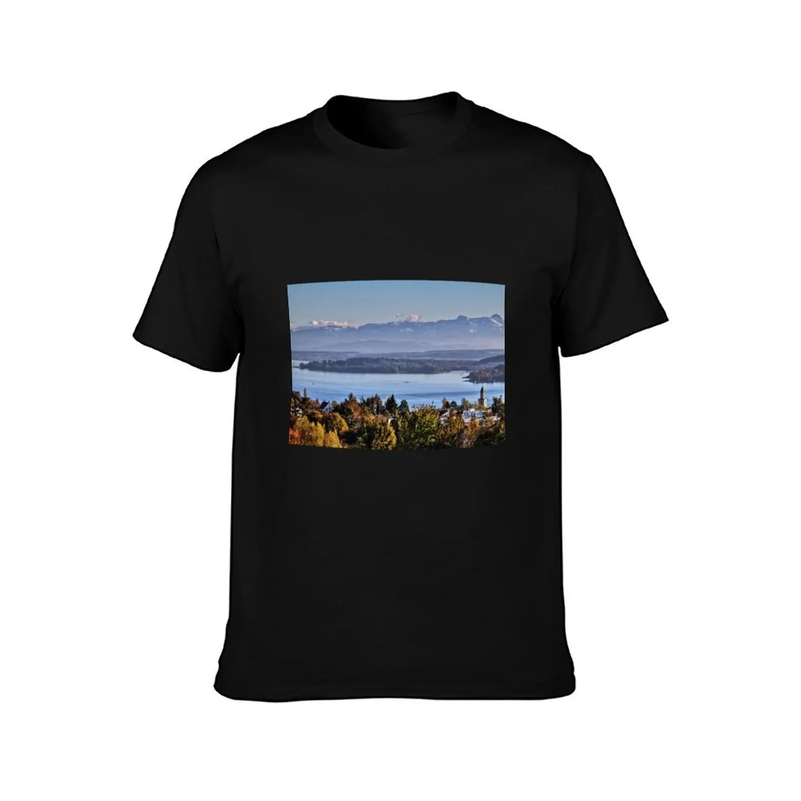 Lake Constance near ?berlingen, Germany T-Shirt, Summer Casual Cotton Tee, Oversized Streetwear Tops, Vintage Graphic Print
