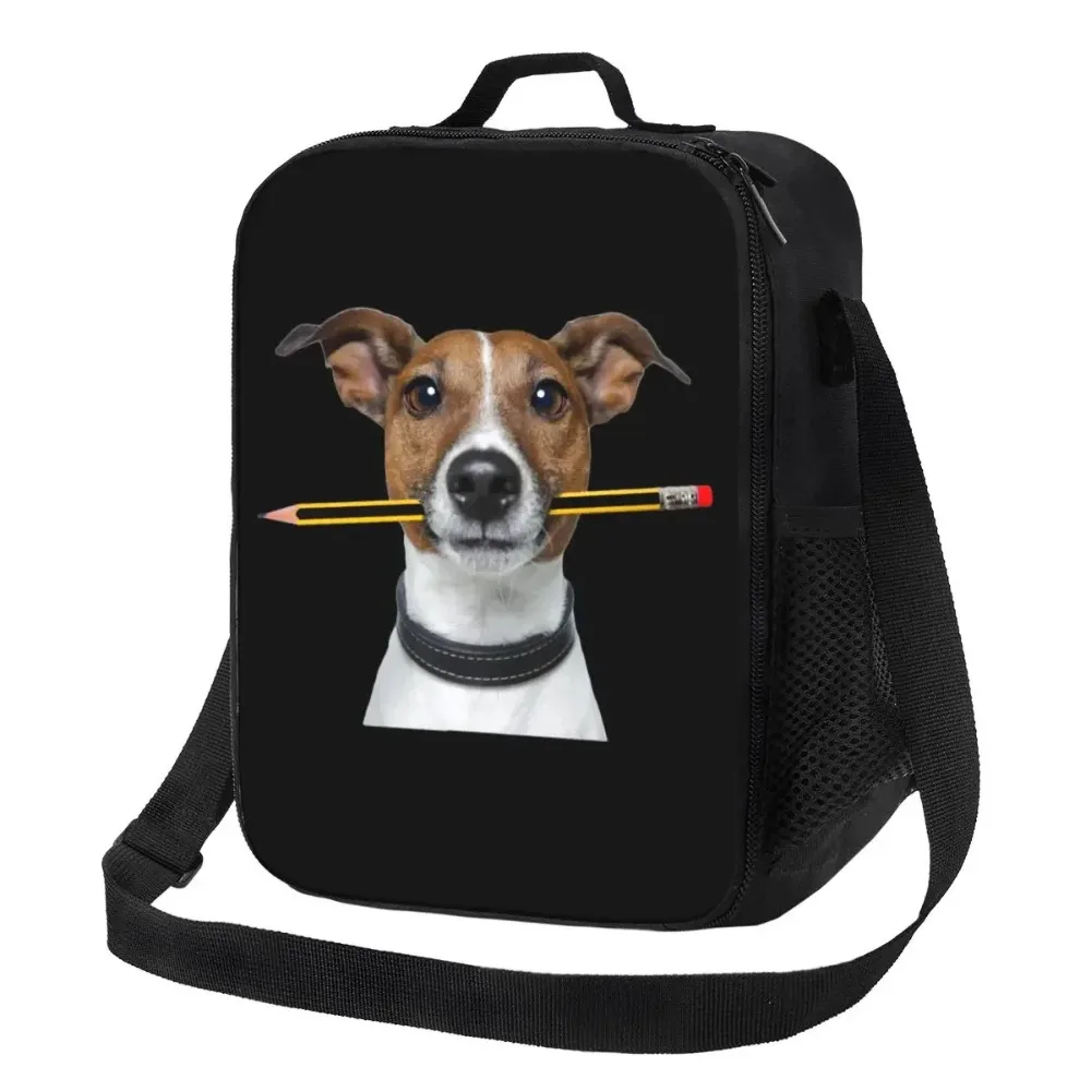 Jack Russell Terrier cane con matita scatola da pranzo portatile multifunzione dispositivo di raffreddamento termico per alimenti borsa da pranzo isolata scuola per bambini