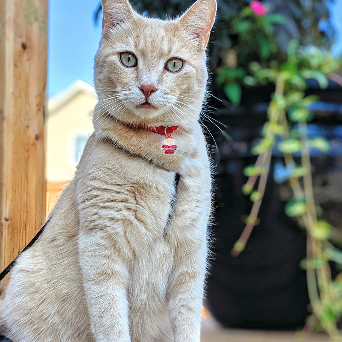 

10Pcs DIY Bell Pendant Santa Claus Shape Pet Necklace Iron Ring for Dog Cat Christmas Party Decoration