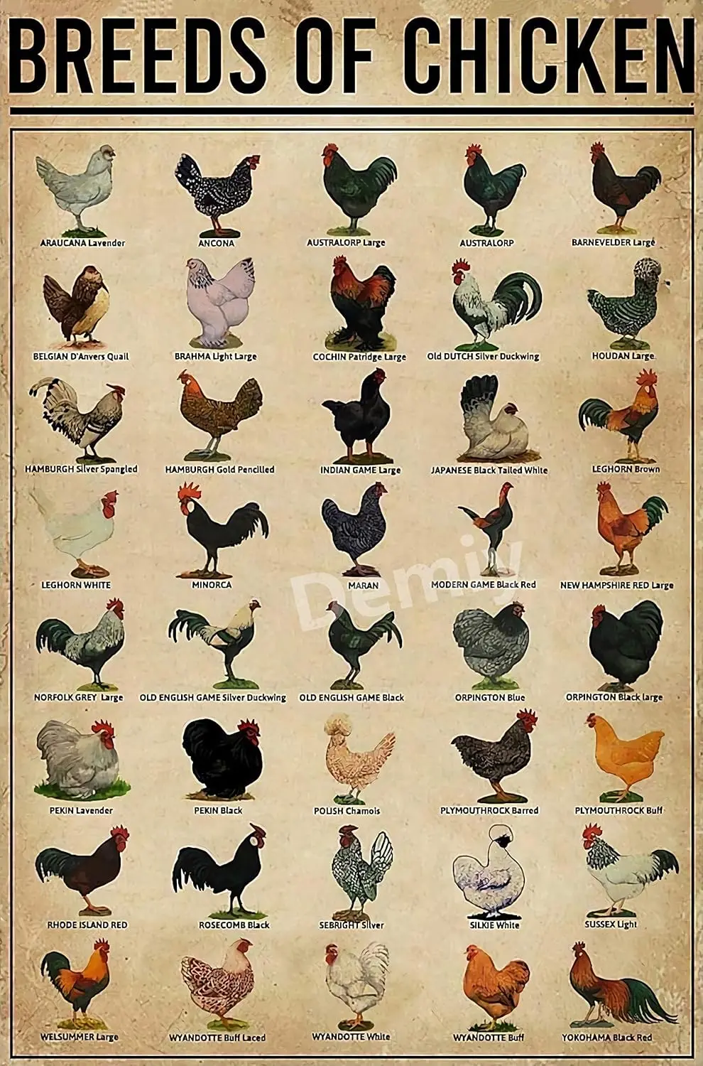 Breeds of Chickens Poster Iron Painting Metal Tin Signs Wall Art Home Decor Vintage Retro Novelty henhouse Plate Warn Funny sign