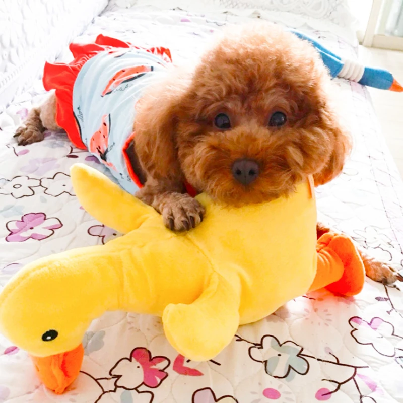 Juguetes de Peluche Duraderos para Perros, Interactivos con Sonido, Resistentes a Mordeduras, Juguetes de Peluche para Mascotas, Juguetes para Perros Corgi, Juguetes para Bull Mastiff, Juguetes Pequeños para Perros