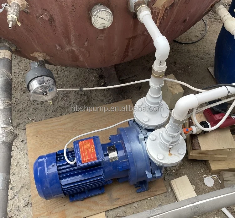 Factory Direct 2BV Single Two Double Stage Liquid Water Ring Vacuum Pump with Compressor OEM/ODM Customization