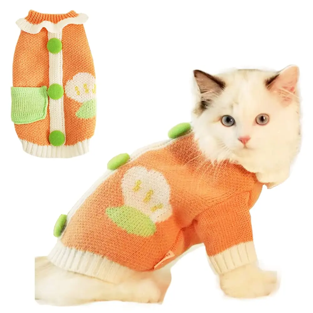 Abrigo grande y pequeño para mascotas, ropa de lujo de alta gama, ropa de diseñador de marcas para perros, Sudadera con capucha