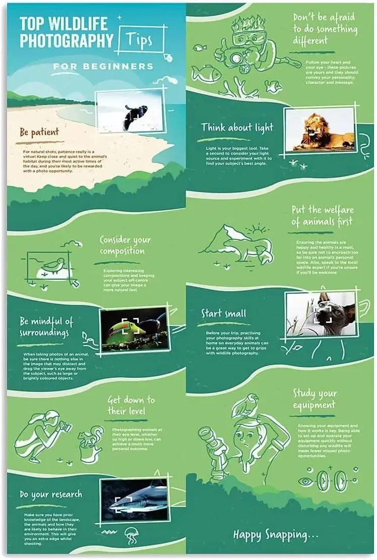 Buoraev Photography Knowledge Metal Tin Signs Top Wildlife Photography Tips For Beginners Posters Photographers Infographic sign
