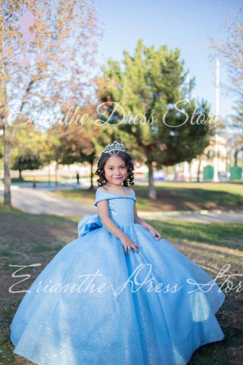 

Sky Blue Shiny Flower Girl Dress For Wedding Tulle Puffy Off Shoulder Kids Birthday Party First Communion Ball Gowns Customized