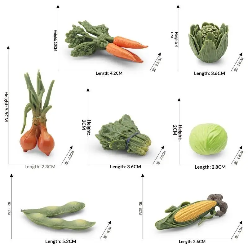 Realistische Gemüsemodelle: Kohl, Karotte, Zwiebel, Mais – Lernspielzeug für Kinder im Kindergartenalter, frühe Lernaktivitäten – Detail 5