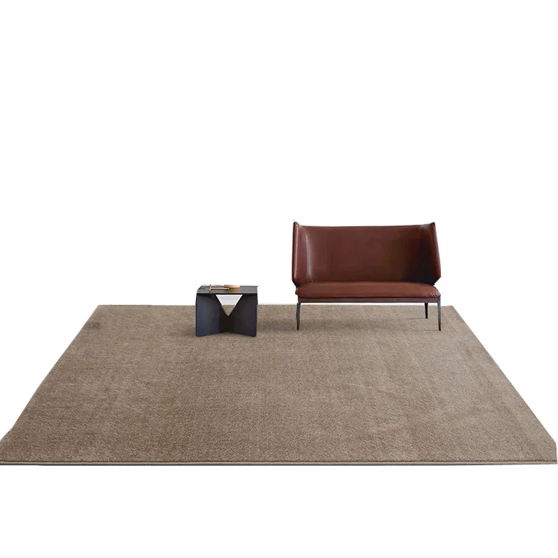 

Solid color carpet in the hall, coffee table carpet in the living room