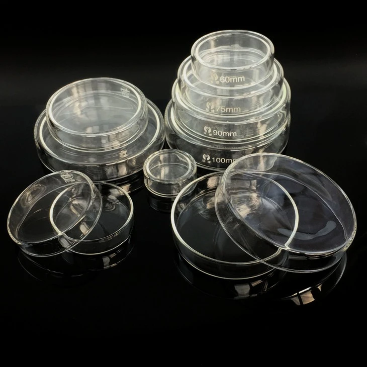 

60mm 75mm 90mm 120mm 150mm Petri Dish Borosilicate 3.3 Glass Lab Equipment Bacterial Culture