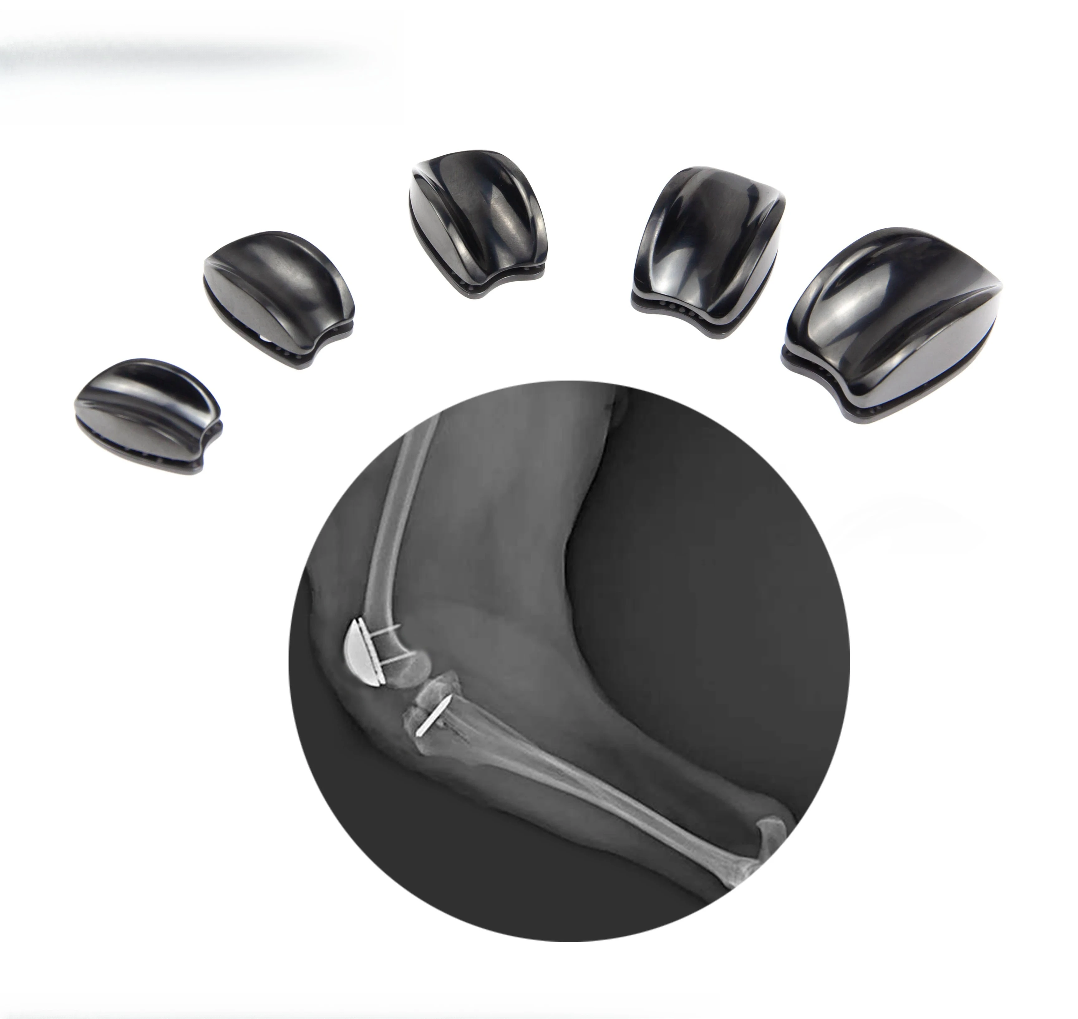 Veterinary PGR Patellar Trolley Replacement Kit Fractured  Surgery
