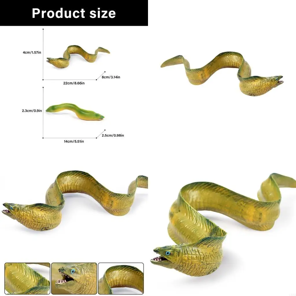 

C5AA Realistic Marine Fish Model Life Like Texture Design Elf for Exhibition Display