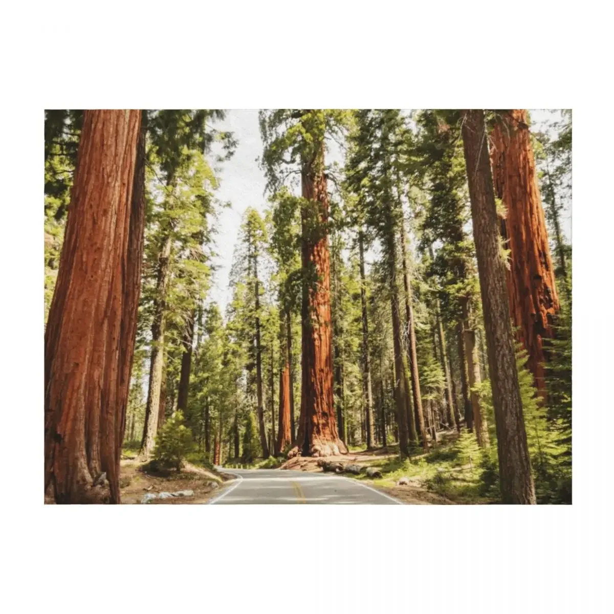 

sequoia national park Throw Blanket Beach Multi-Purpose Decorative Beds Extra Large Throw Blankets