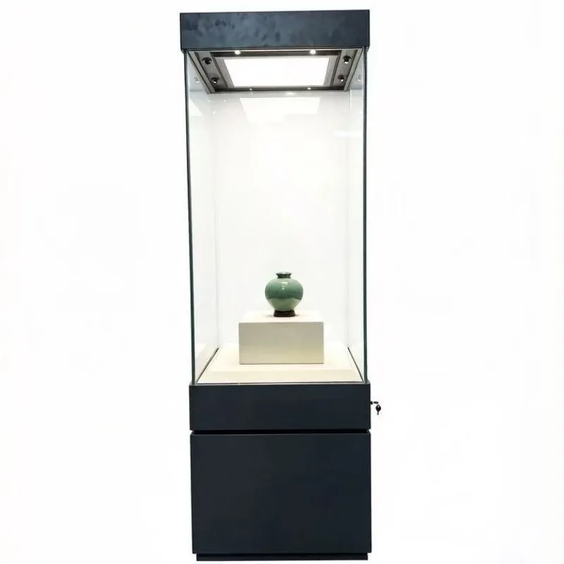 Cstom Museum Temperature and Humidity Controlled Display Cabinet for High Wall-Mounted Cabinets with Constant Humidityu