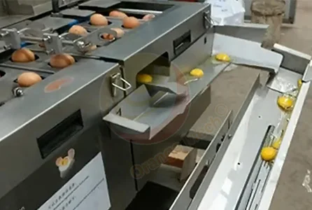 Yolk Egg Separator Egg Shell Opener Breaker and Separator Egg Yolk White Separator Machine