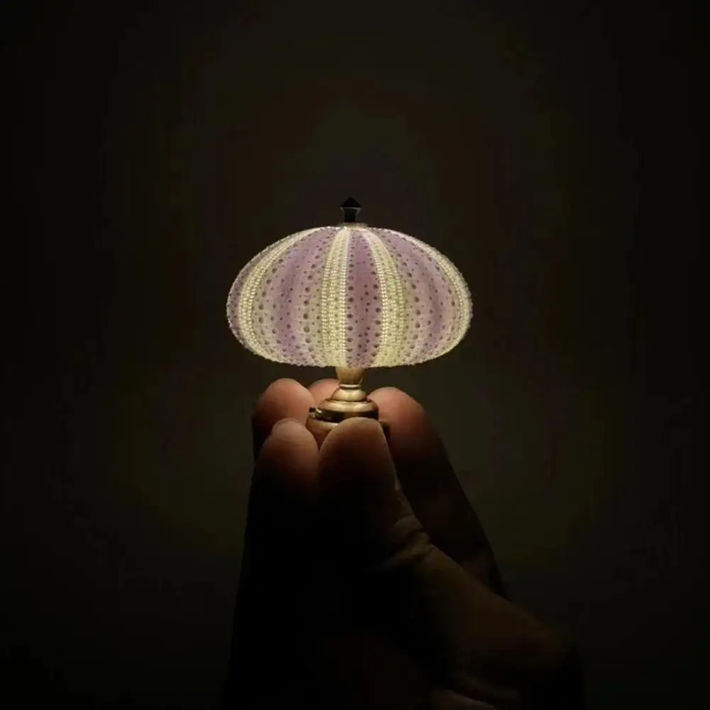 Sea Urchin Night Light Sea Urchin Shell Beach a tema Fun Night Light Animal Night Light lampada da comodino