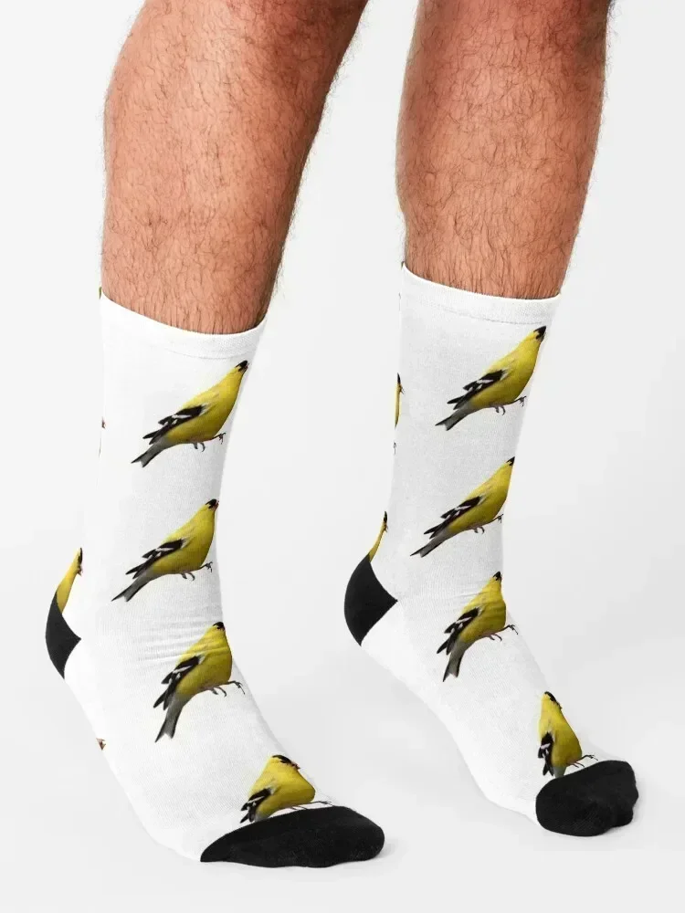 yellow finch Socks with print custom Men's cartoon Socks Men's Women's