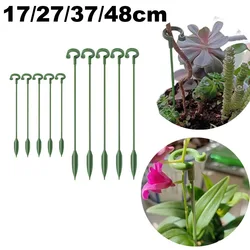 Orquídea Borboletas para Suculentas, Suporte de Plantas, Varas De Suporte Em Vaso, Flores e Legumes, Suprimentos De Jardim, 6PCs, 12PCs