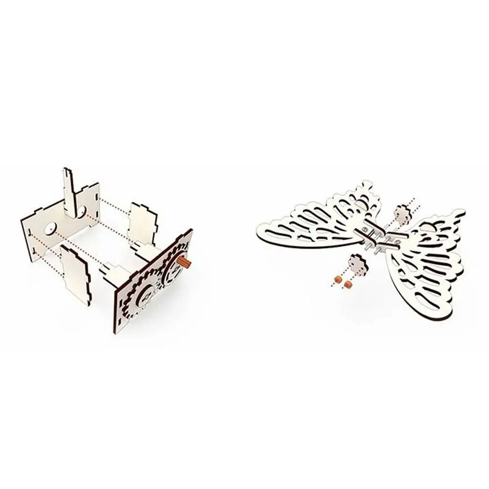 Creative STEM Butterfly Assembly Model Hands-On Assembly Home Experiment DIY Science Kit Science Kit
