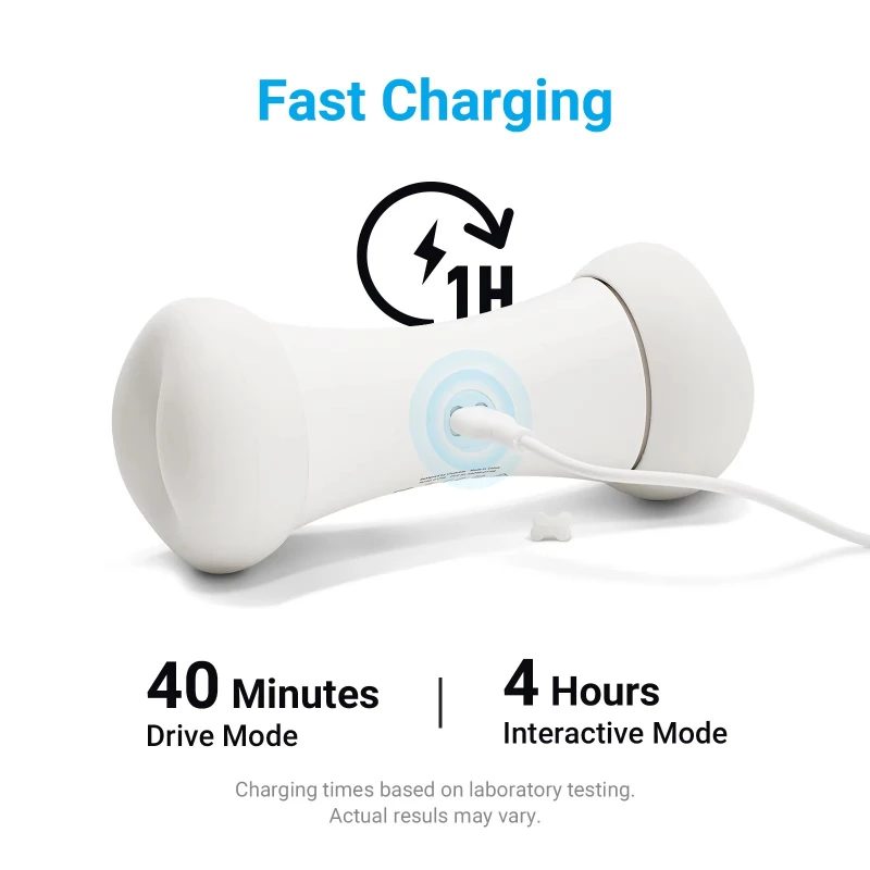 

Modern fashion style, environmentally friendly hot-selling bones, customized AI machine agility chasing dogs decompression toys