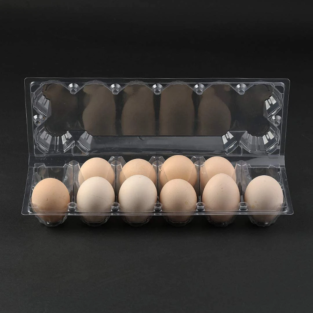 NEW HOT In Stock-24Pcs Plastic Egg Cartons Bulk Clear Chicken Egg Tray Holder For Family Pasture Chicken Farm Business Market- 1