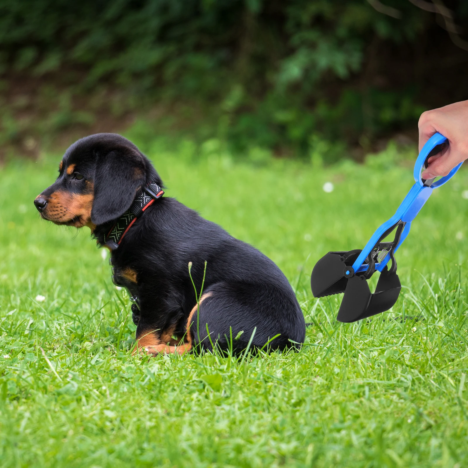 

Plastic Pet Poop Scooper Portable Blue Hard Plastic Dog Pooper Scooper Easy One-Hand Operation Dog Waste Pickup Tool for Park