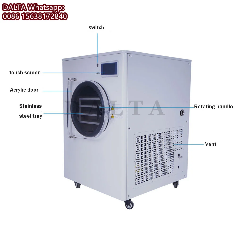 Small Home Use Vacuum Freezer Dryer Machine Fruit Vegetable Vacuum Freezer Equipment