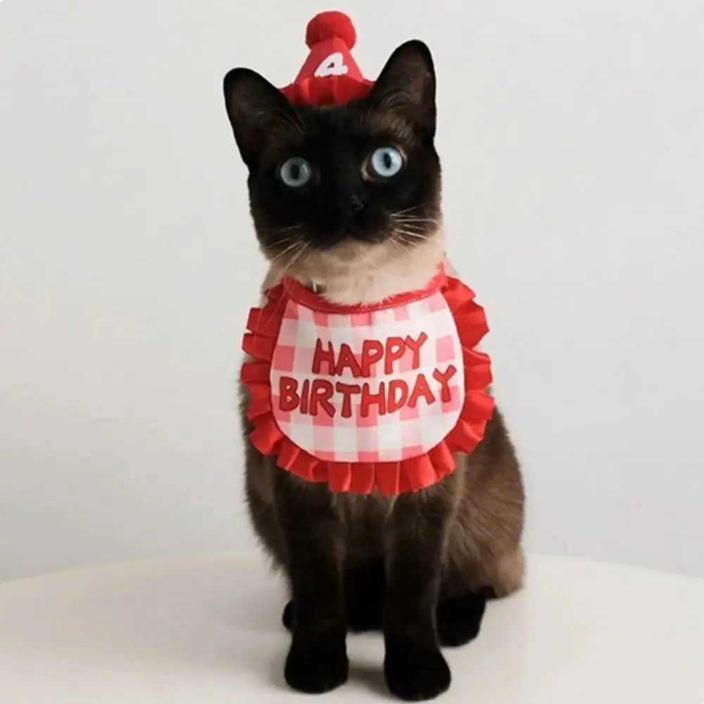 Cat Birthday Scarf Hat Set with Digital Stickers Cute Props Set Dress Up Ornaments Pet Supplies