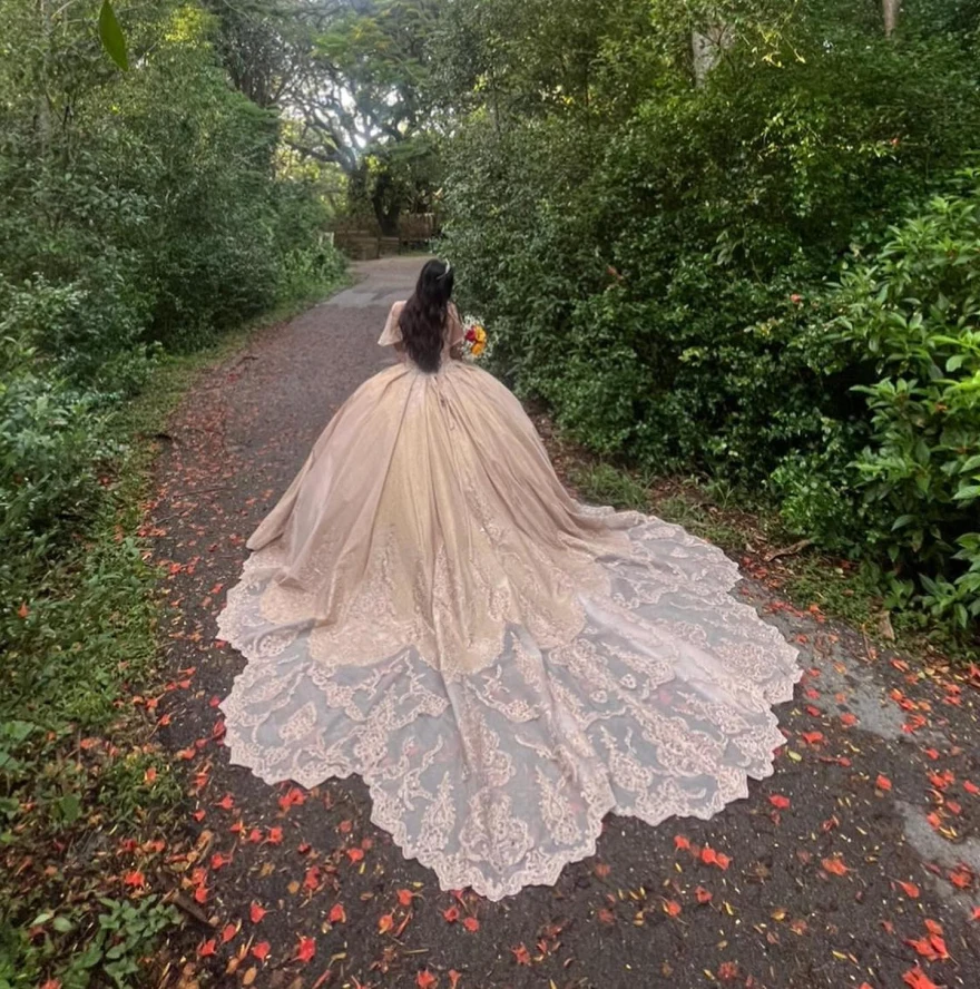 Lorencia-vestidos De Quinceañera De color champán para mujer, vestidos De Quinceañera De 15 Años, Apliques De encaje De lentejuelas, dulces 16, vestidos De fiesta YQD61, 2024