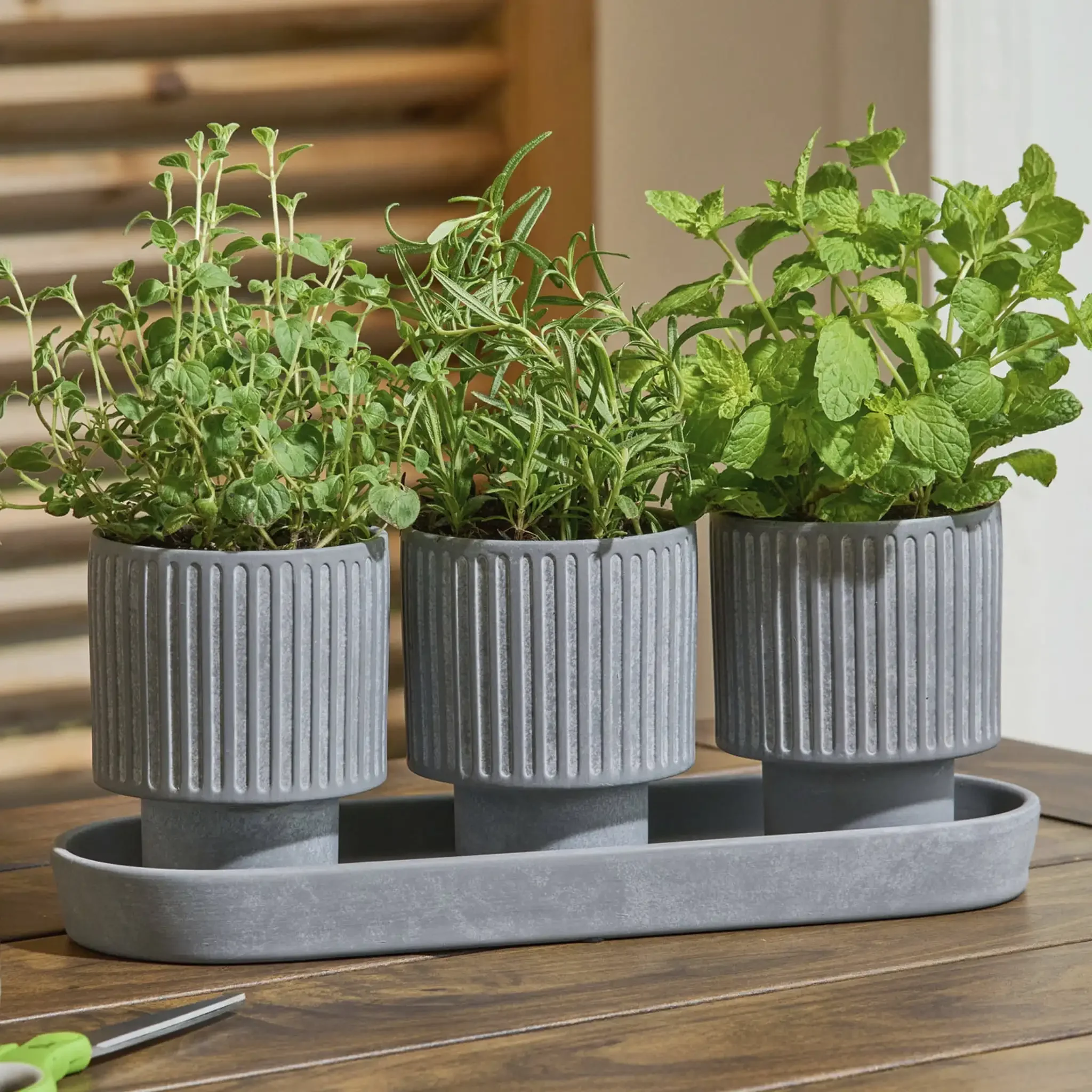 

Better Homes & Gardens Jardinera de Cerámica para Hierbas de 4 Piezas Gris plant pot flower pot