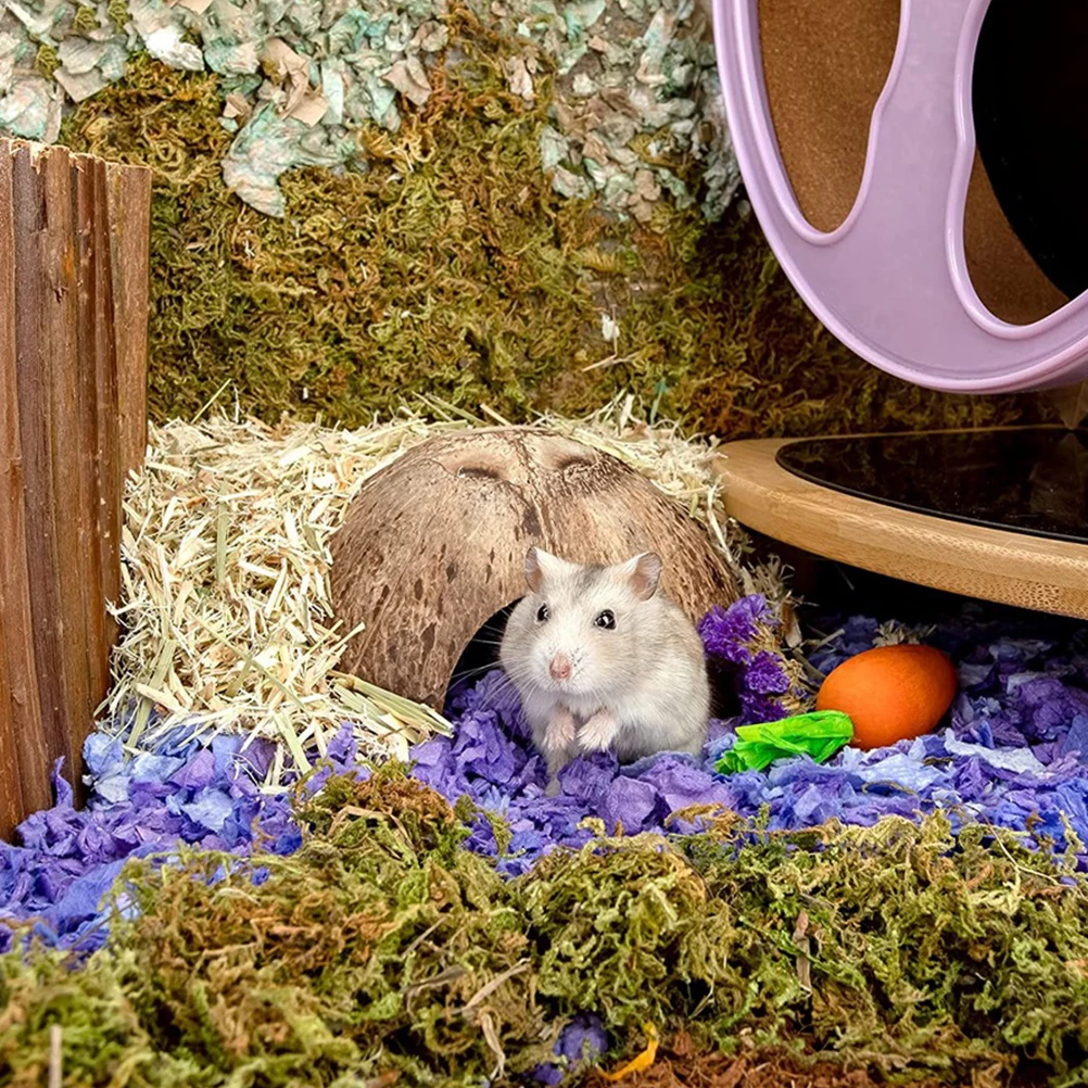 

2pcs Coconut Shell Pet Hide House Gecko Terrarium Bearded Dragon Tortoises Frog Habitat Reptile Accessories Small Terrarium