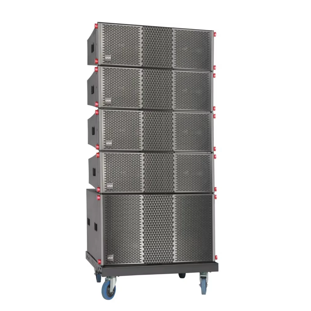Double 10 Inch Passive Line Array Speakers Box VK10