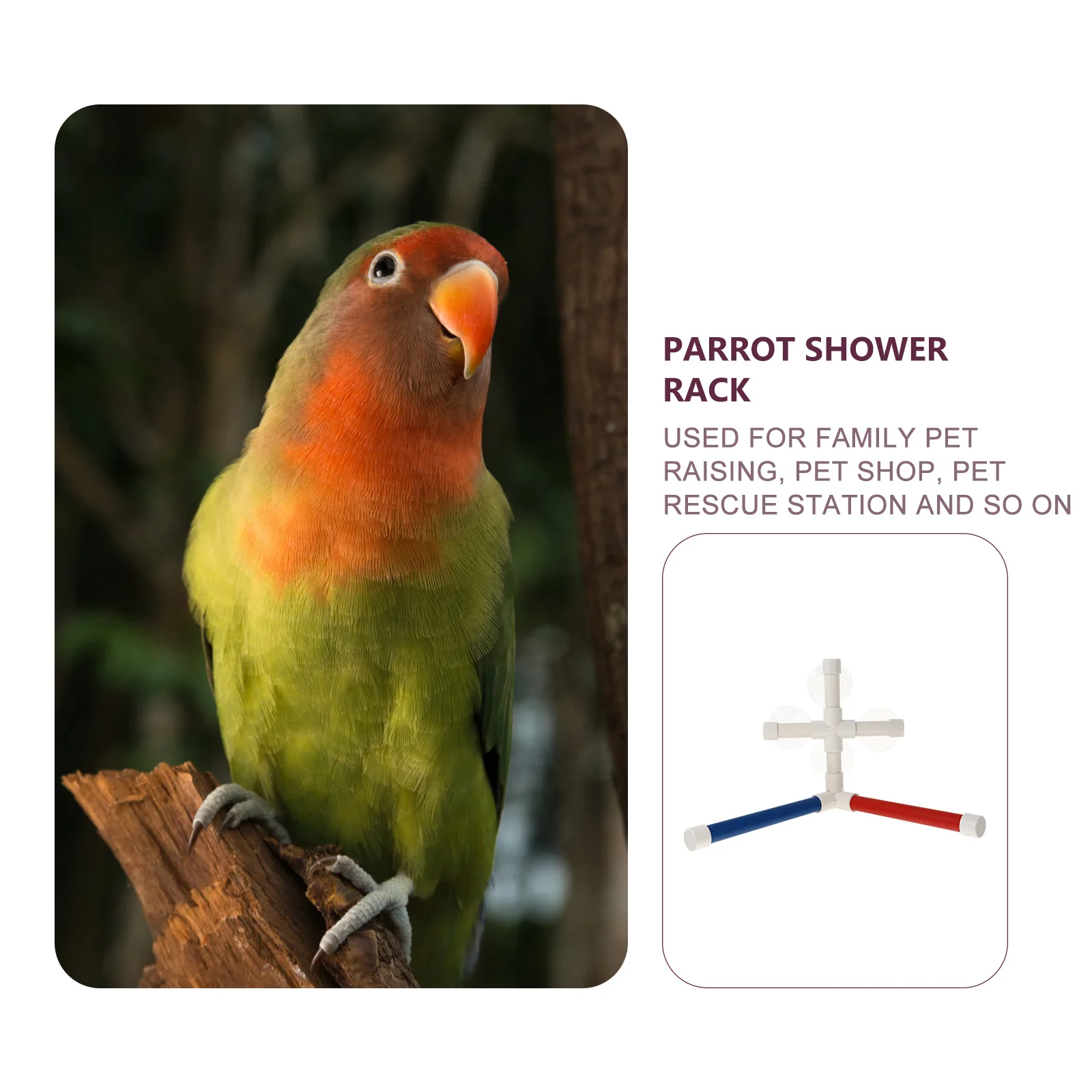 

Plastic Bird Shower Rack for Parrots Sturdy Suction Cups Detachable Stand Bathing Toy Pet Bird Supplies Gift for Cockatiels