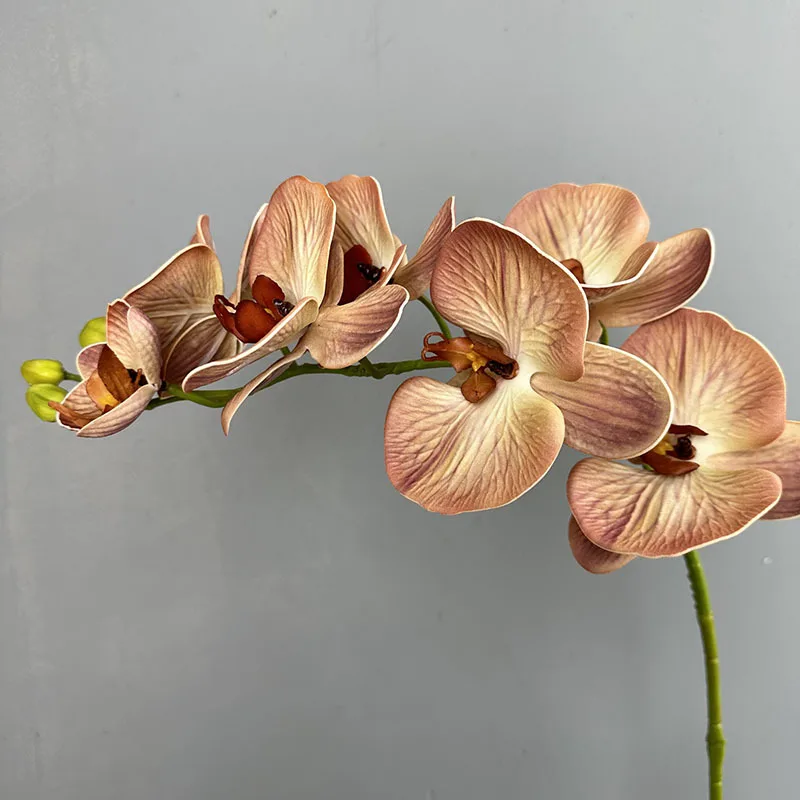 Nordic 7 köpfe Schmetterling Orchidee Künstliche Blume Real Touch Gefühl 75 cm Gefälschte Blumen Für Wohnzimmer Hochzeit Tisch Vase dekoration – Detail 6