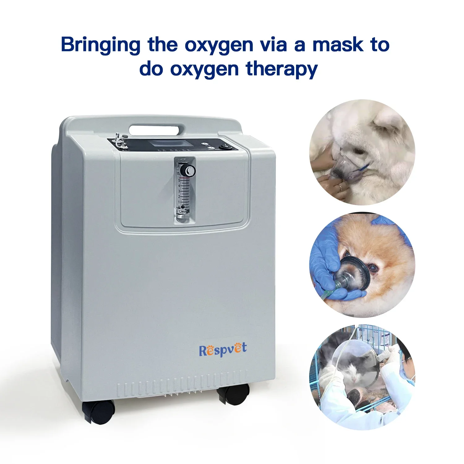 Longfian 5L Pet Oxygen Concentrator Animal Chamber Large Capacity Oxygen Output For Pet Oxygen Needs