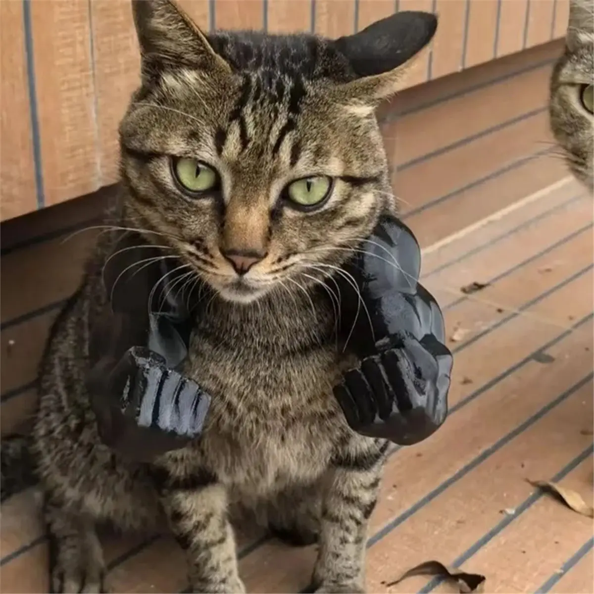 NEWCat Muscle Arm Pendant Pet Cat Fist Neck Fist Set Show Cat Doll Arm Strong Neck Hanging Toy Skin Color