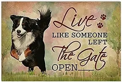 Tin Signs - Funny Tin Sign Someone Left The Gate Open Bernese Mountain Dog Vintage Metal Sign Gift Bedroom Retro Novelty Cafe St