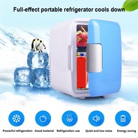 Portable Car Refrigerator 12V 4L Mini Fridge for Car Truck Use for Low Temperature Preservation, Insulation for Travel Camping