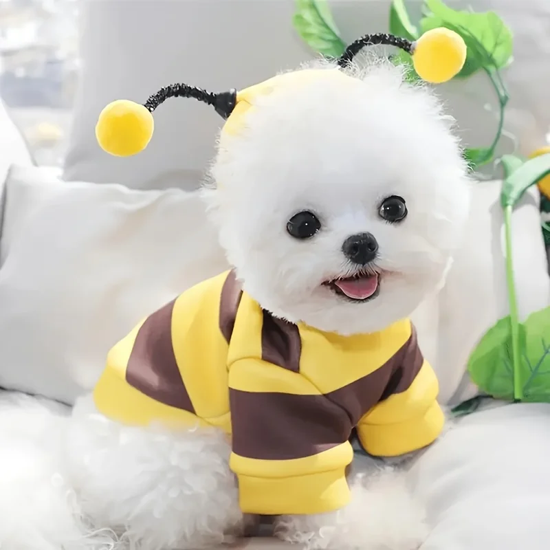 Personalized Pet Hoodie Custom Name Bee Design Dog Cat Sweatshirt All Season Clothes Gift for Small Medium Pets