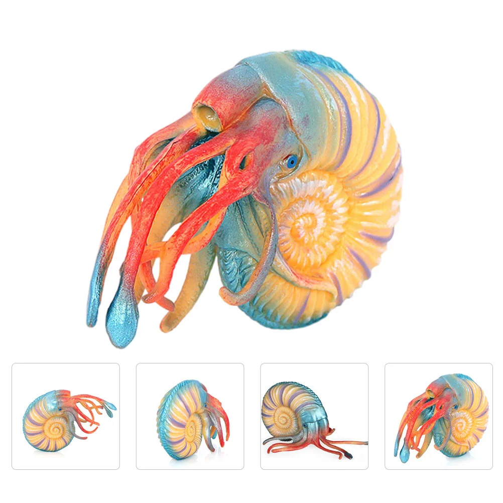 Conch Toy Ornament Mini Toys Children Marine Animal Animals Model Plastic Nautilus Simulation