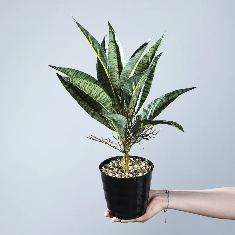 5 Piezas de Ramas de Pirán de Plástico, Plantas Artificiales Verdes, Decoración para Hoteles, Simulación de Hojas de Sansevieria, Decoración para Salones