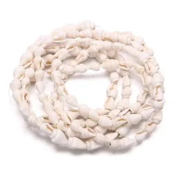 Natural Small Conch Shape Craft Shell for Jewelry Making DIY Bracelet Necklace Accessories Home Fish Tank Landscape 6x9MM-7X10MM