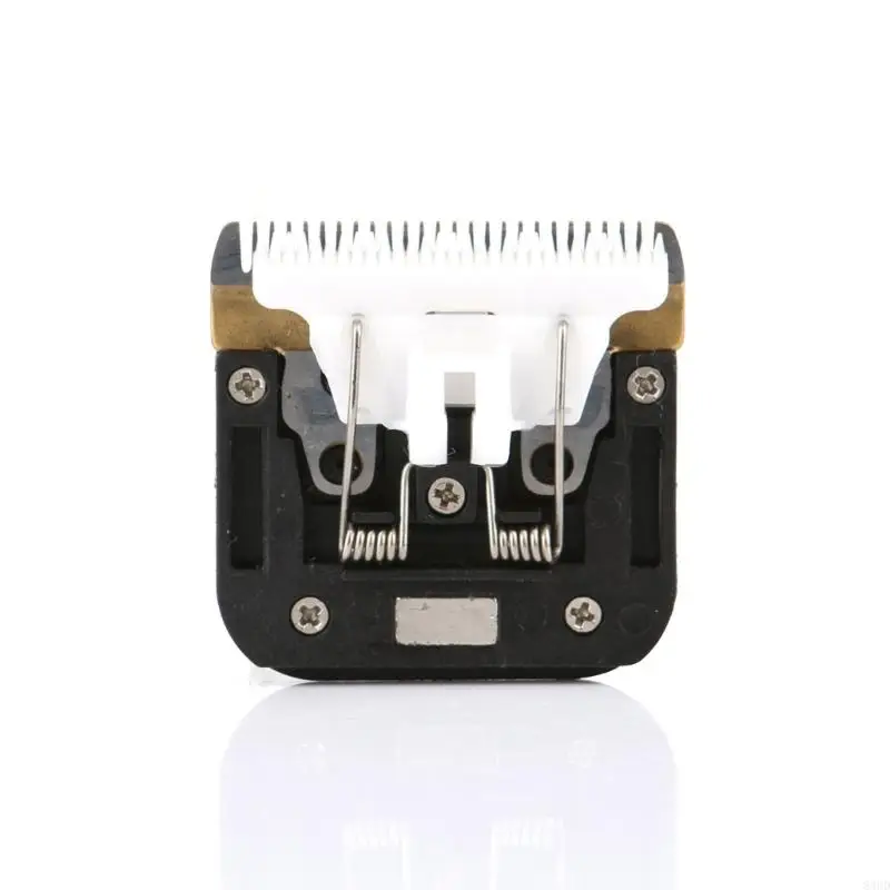 Einzelhandel/Drop -Versand 2