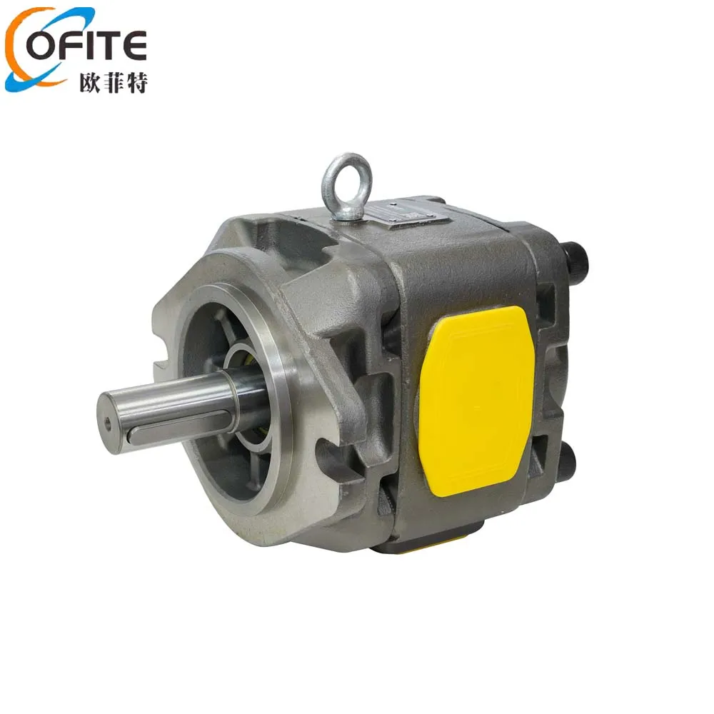 

High Efficiency Hydraulic Gear Pump Oil Pump for Industrial Machinery Injection Molding Machines, Bending Machines, Forklifts