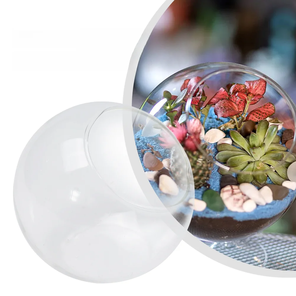 

Eloquent clear borosilicate glass terrarium vase for For Succulents decor open mouth bauble sizes 13.5cm 15cm 16cm 18cm 20cm