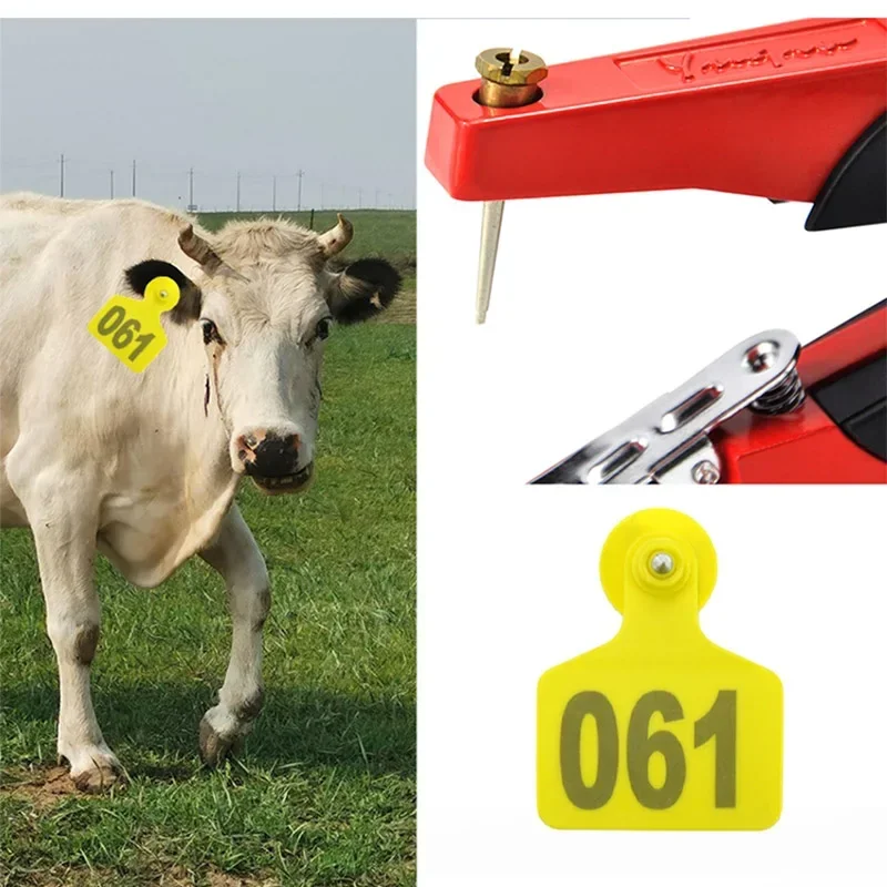 100PCS orecchini colorati per marcatura di animali 001-100 numero bestiame mucca bovini marchi auricolari animali da fattoria etichetta Eartags per maiale pecora