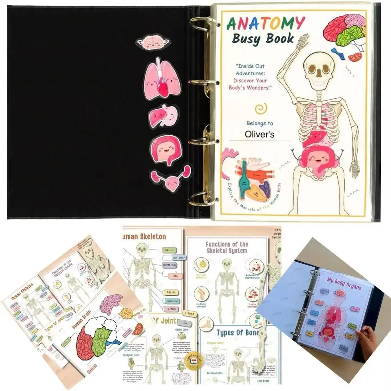 Human Anatomy Busy Book,Preschool Montessori Toys for Kids,Human Organ Match Preschool Interactive Anatomy Busy Book for Kids