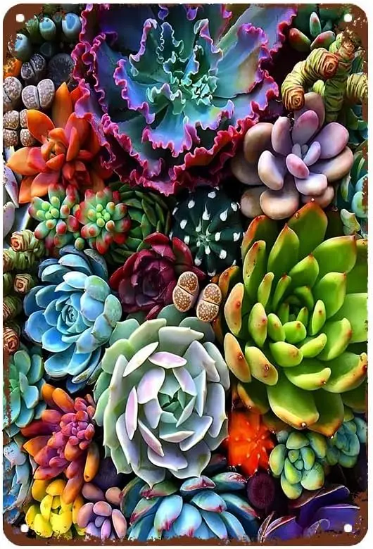 

1w,Colorful Succulent Living Plant Retro Metal Tin Sign Wall Decor Funny Metal Tin Sign Poster for Bar Cafe Dining Room Billiard