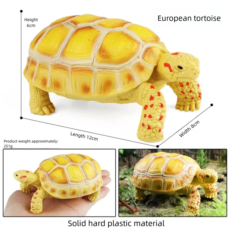 Oenux Simulations-Schildkröten-Set: Alligator, Galapagos-Schildkröte, Chinesische Weichschildkröte Figuren und Puppen – Detail 12