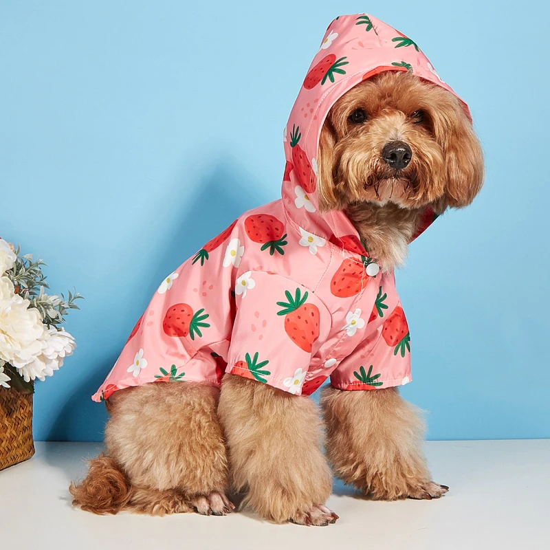 Cartoon Strawberry Pet Raincoat Fruit Strawberry Pattern Cat and Dog Universal Waterproof Comfortable Puppy Raincoat Dog Costume