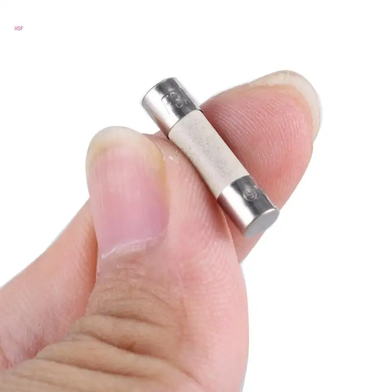 ชุดหลอดแก้วเซรามิก 100 หลอดพร้อมที่เก็บฟิวส์แก้ว 250V ฟิวส์ละเอียด